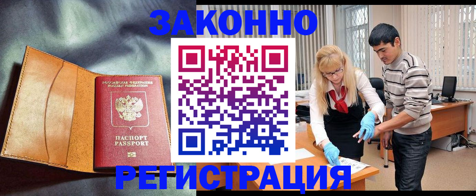 прописка поиск в Сольцах